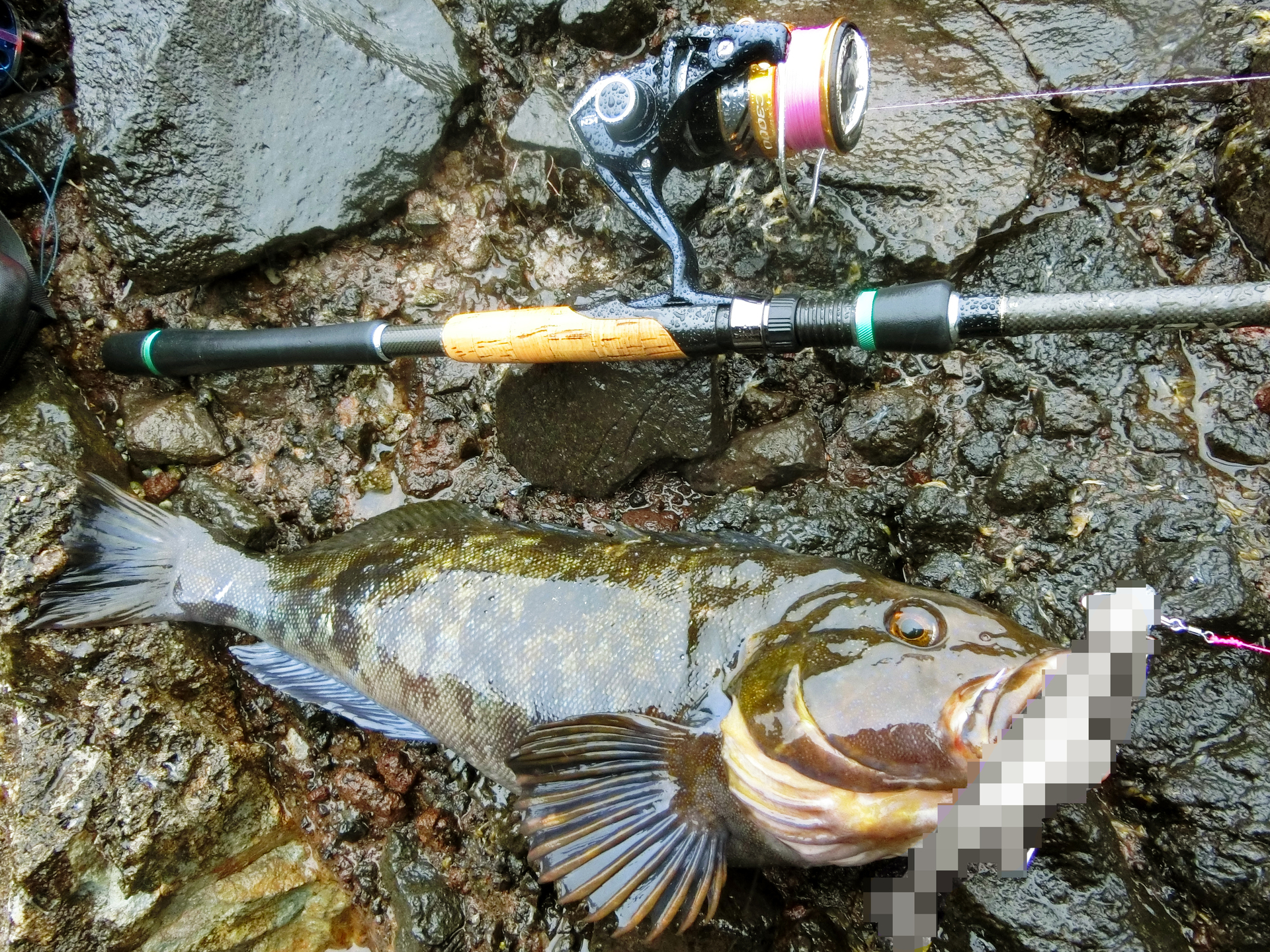 アイナメ アブラコ が誰でも釣れる 爆釣ヒットワームを紹介 グッドハンドフィッシングin北海道