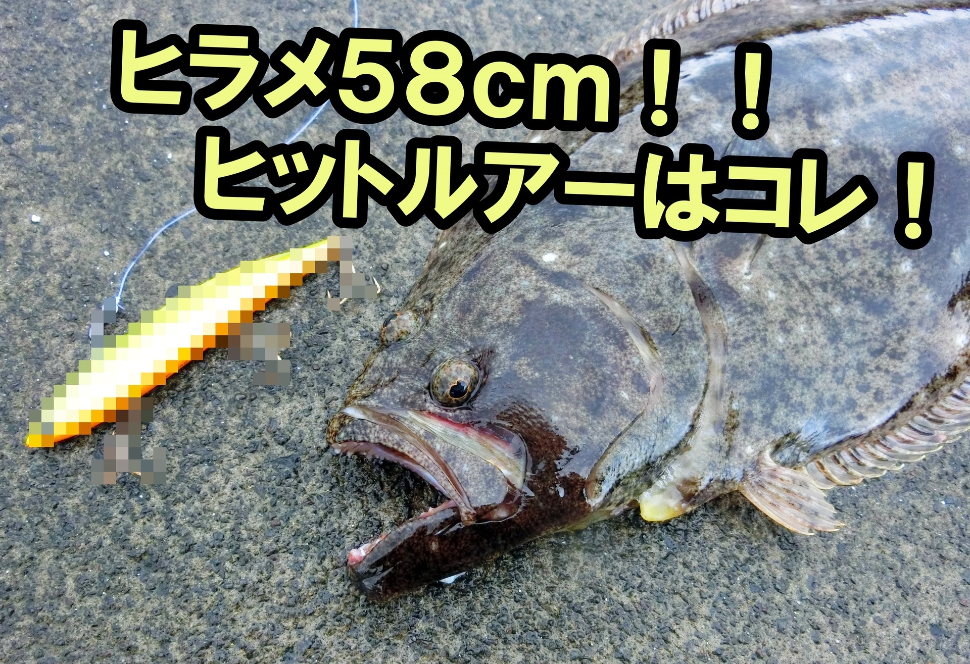 秋ヒラメ５８ｃｍ ヒットルアーはコレ グッドハンドフィッシングin北海道